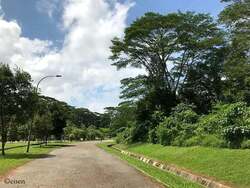 Rochalie Drive (D10), Detached #588839981
